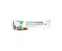 WEBSITE DESIGNING, EMAIL AND WEB HOSTING, LOGO DESIGN, PRINTING & DESIGNING SERVICES