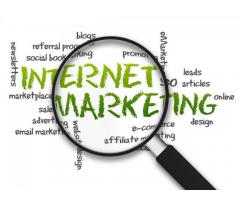 Online Marketing Manager for Hub Projects at Imphal