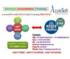 SAP MDM Online training from Industry Experts-Acutesoft
