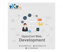 OPENCART Web Development