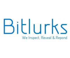 Bitlurks VAPT Service by Cyber Octet