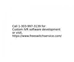 Custom IVR software development for Banks