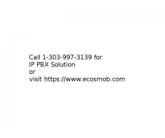 IP PBX Software Development Services For Business