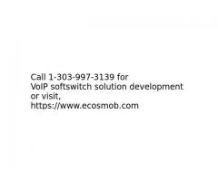 VoIP softswitch solution development services
