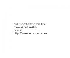 Class 4 Softswitch solution development services in affordable rates
