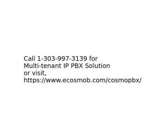 Multi-tenant IP PBX Solution Development