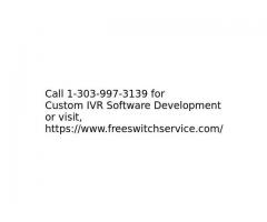 Custom IVR Software Development Services