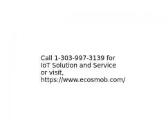 IoT Solution and Service by experts