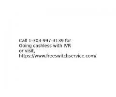 Allow your customers to go cashless with Payment Processing IVR Solution