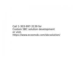 Custom SBC solution development services 