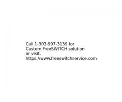 Custom FreeSWITCH solution development services by expert VoIP Developers