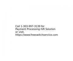 Custom Payment Processing IVR Solution Development in India