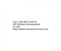 Custom IVR Software Development Services in FreeSWITCH