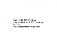 Custom Hosted IP PBX Software Development Services