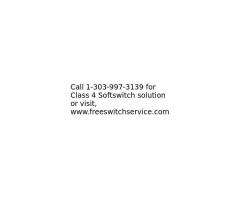 Custom Class 4 Softswitch solution development services in affordable rates