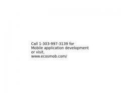 Custom Mobile application development services in iOS and Android