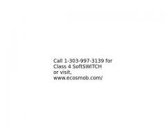 Class 4 SoftSWITCH Development Services