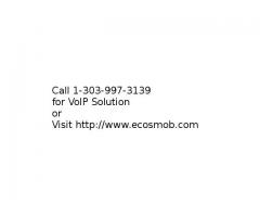 Custom VoIP Solutions