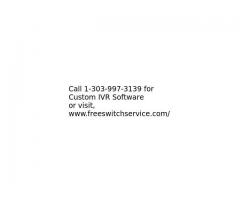 Custom IVR Software Development 
