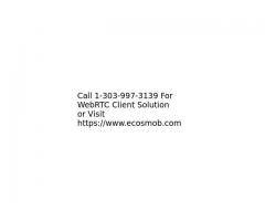 WebRTC Client Solution Development Services