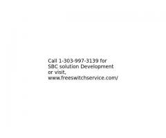 SBC solution Development by Freeswitch Experts