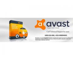 Dial Avast Antivirus Tech Support Number 1800-816-060 And Get Your Solution