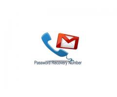 How to reset Gmail password?