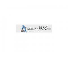 Netline Jobs (N493297)
